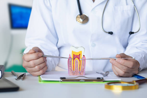 Best Emergency Wisdom Tooth Extraction in Almont, MI